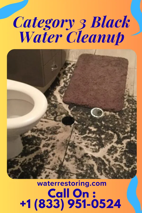 Category 3 Black Water Cleanup in Canyon Day, AZ