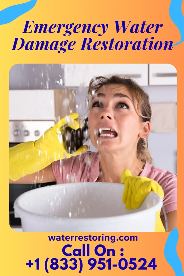 Emergency Water Damage Restoration in Canyon Day, AZ
